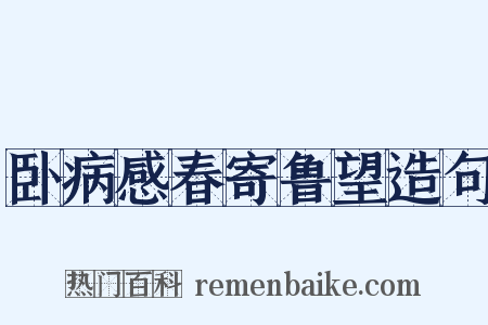 卧病感春寄鲁望造句是什么意思的图片